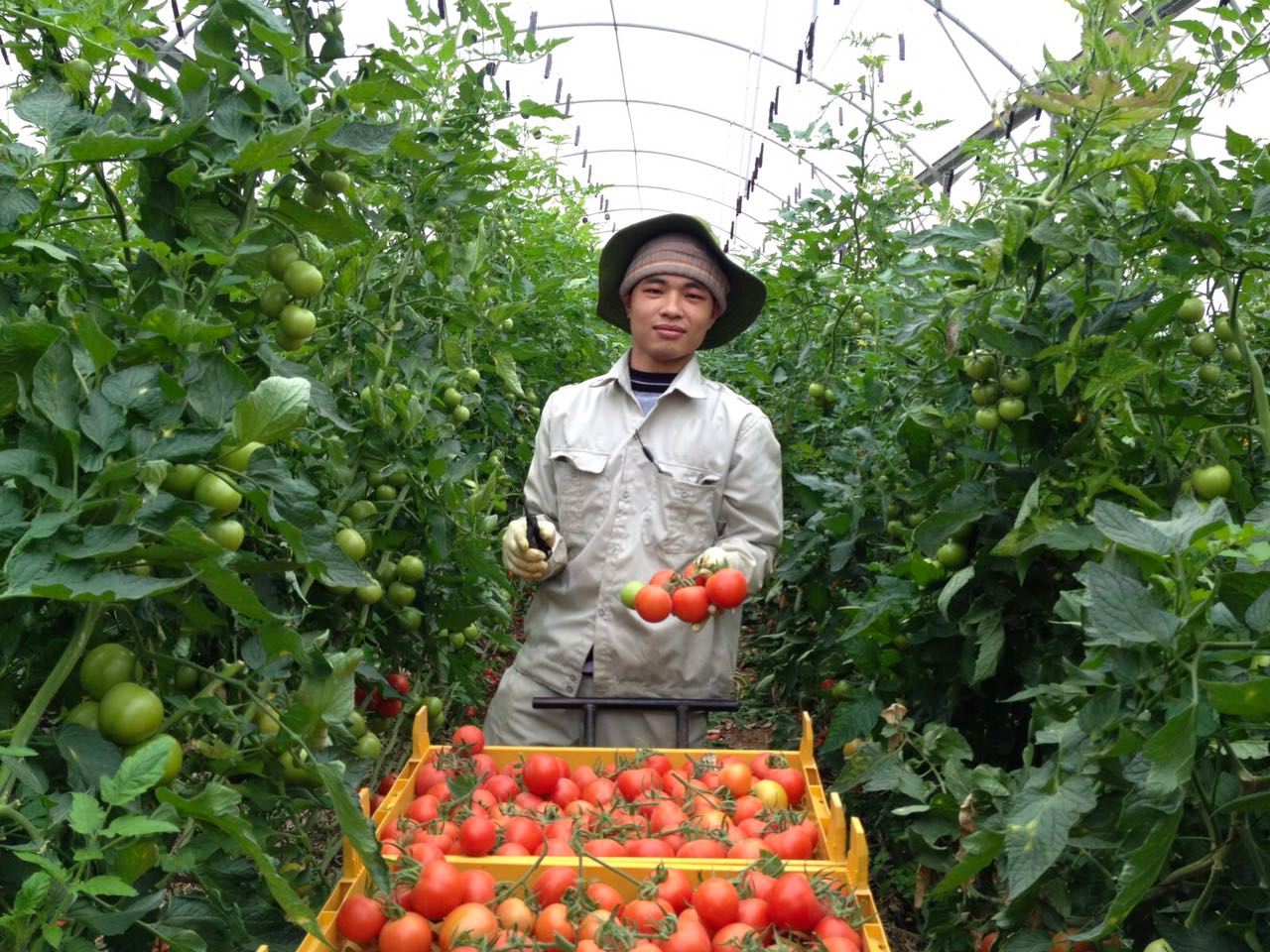 Hình ảnh đơn hàng