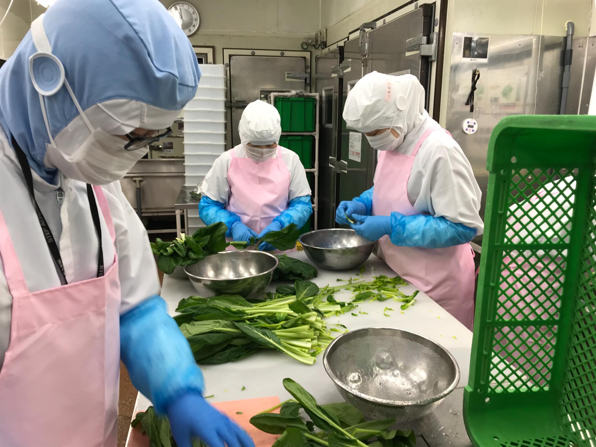 Kỹ năng đặc định Chế biến thực phẩm (Sản xuất Mì, Gyoza) tại Gunma tại Gunma, Nhật Bản - Thu nhập từ 264,452