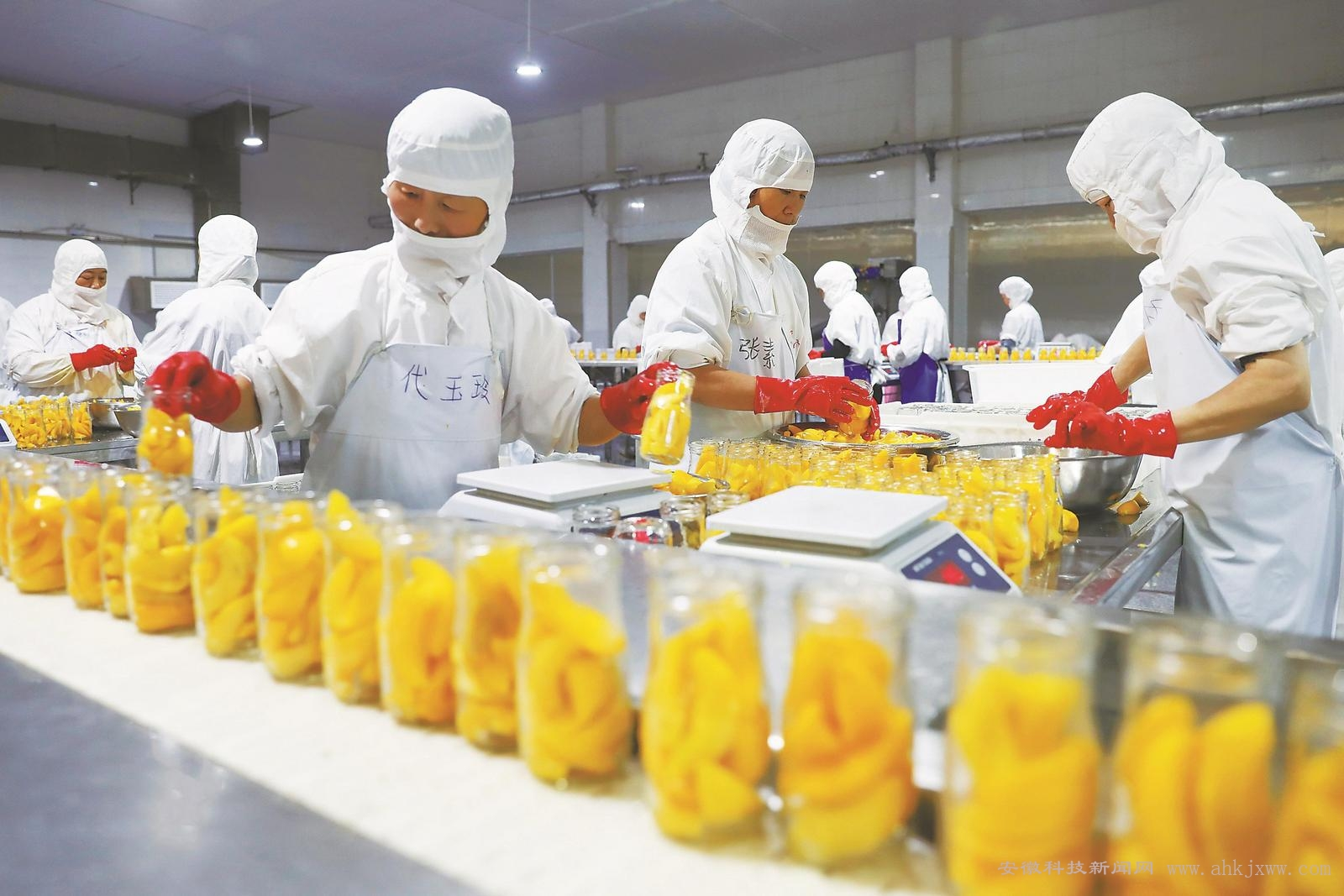 Nhân viên Kỹ năng đặc định Chế biến thực phẩm (sản xuất mì và đóng gói) tại Ibaraki tại Ibaraki, Nhật Bản - Thu nhập từ 202,730