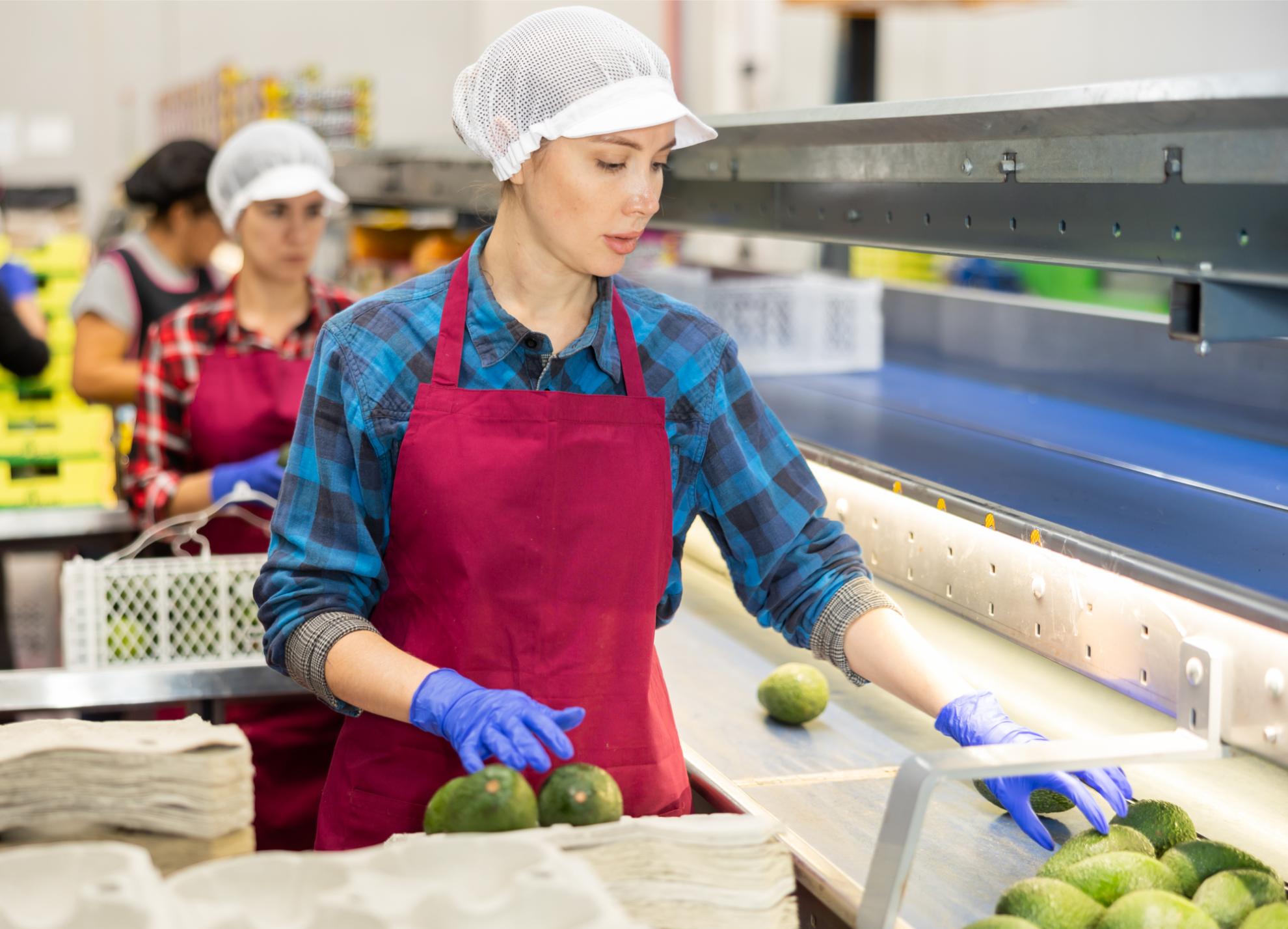 Hình ảnh đơn hàng 2