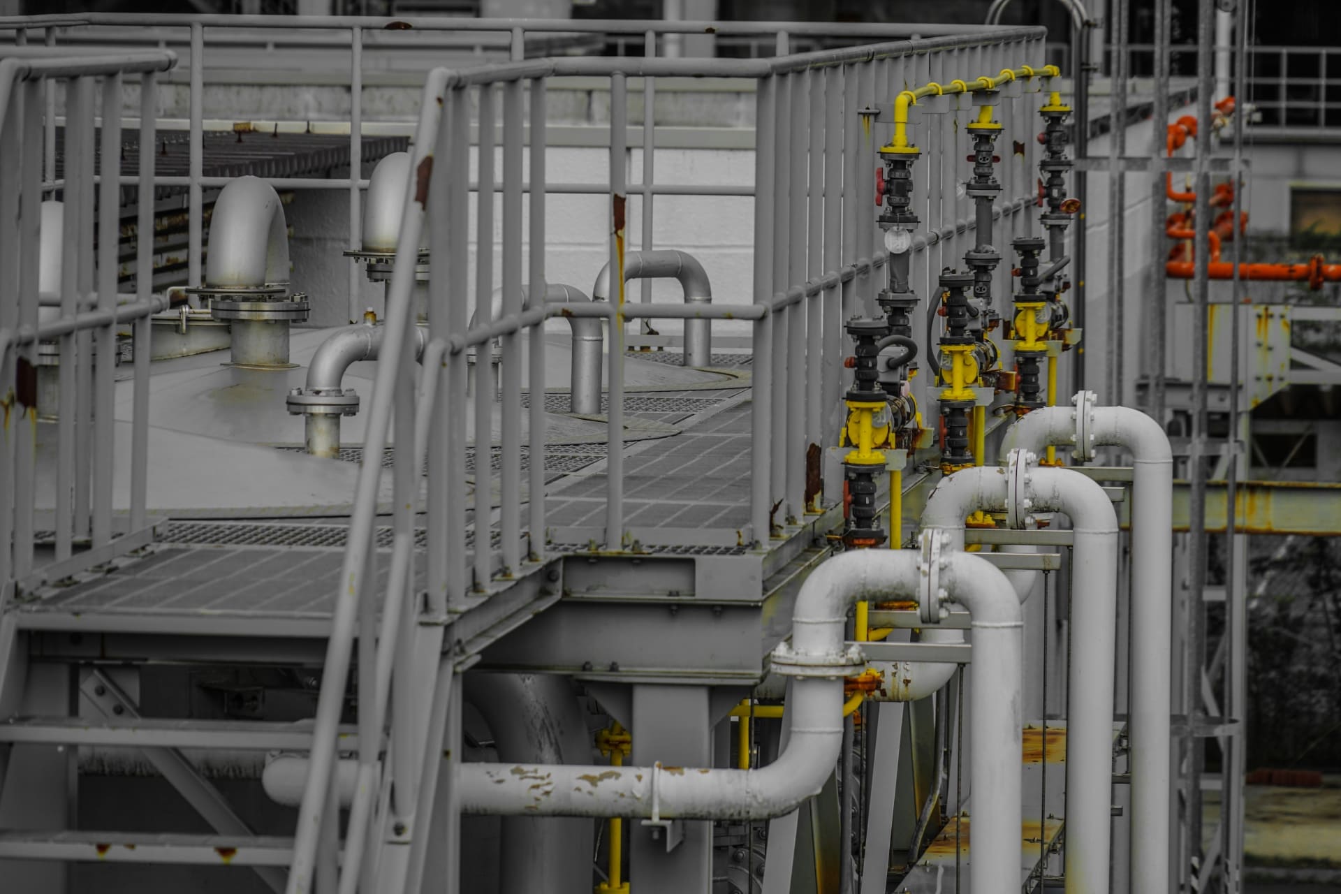 Hình ảnh đơn hàng