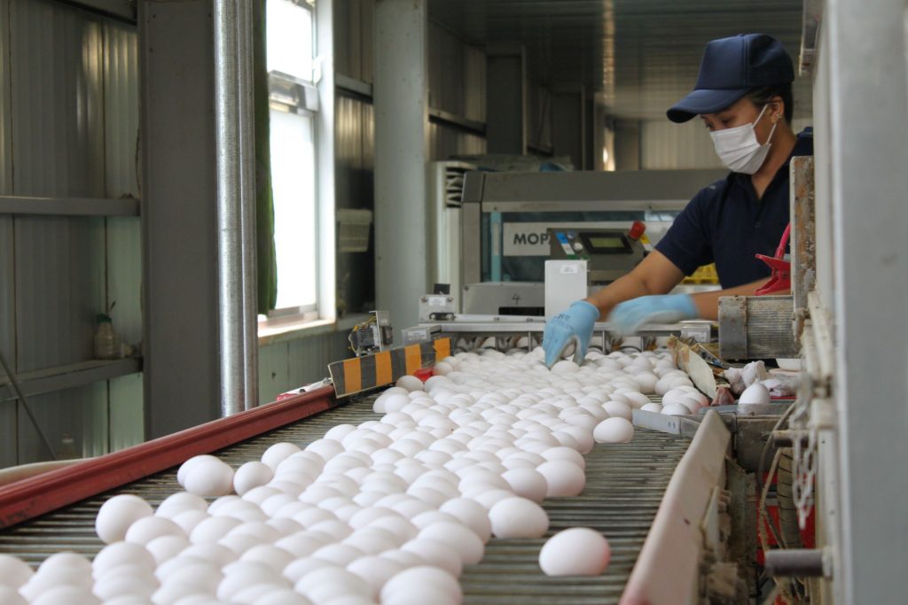 Hình ảnh đơn hàng 2