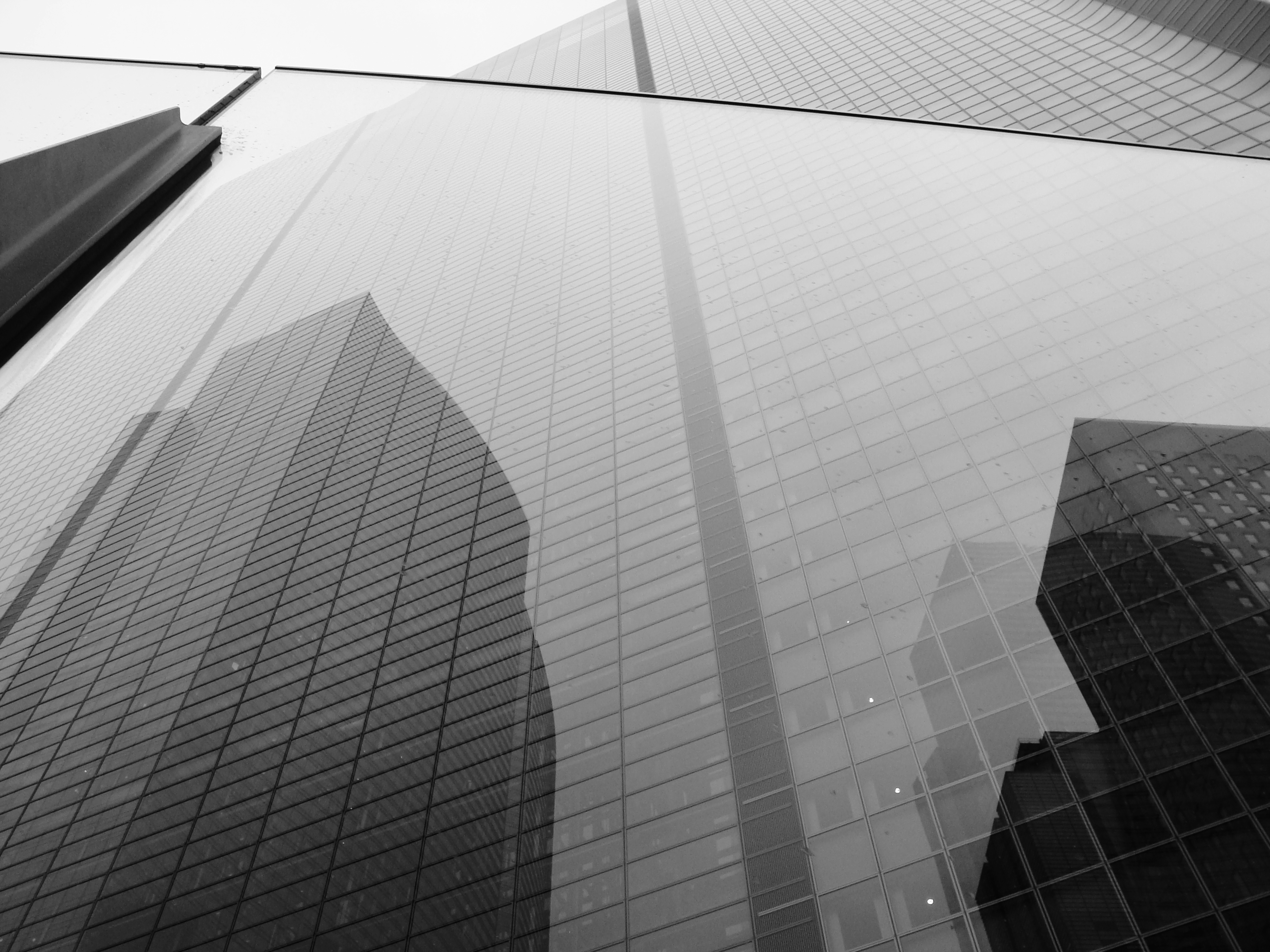 white and black glass walled high rise building