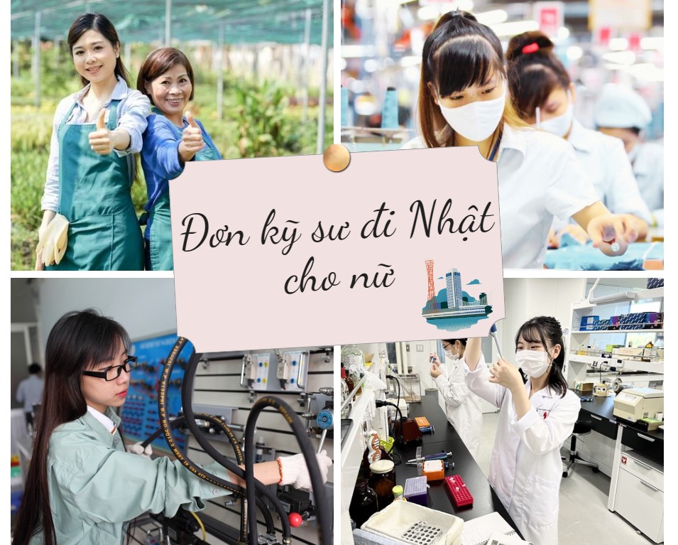 Hình ảnh đơn hàng 4