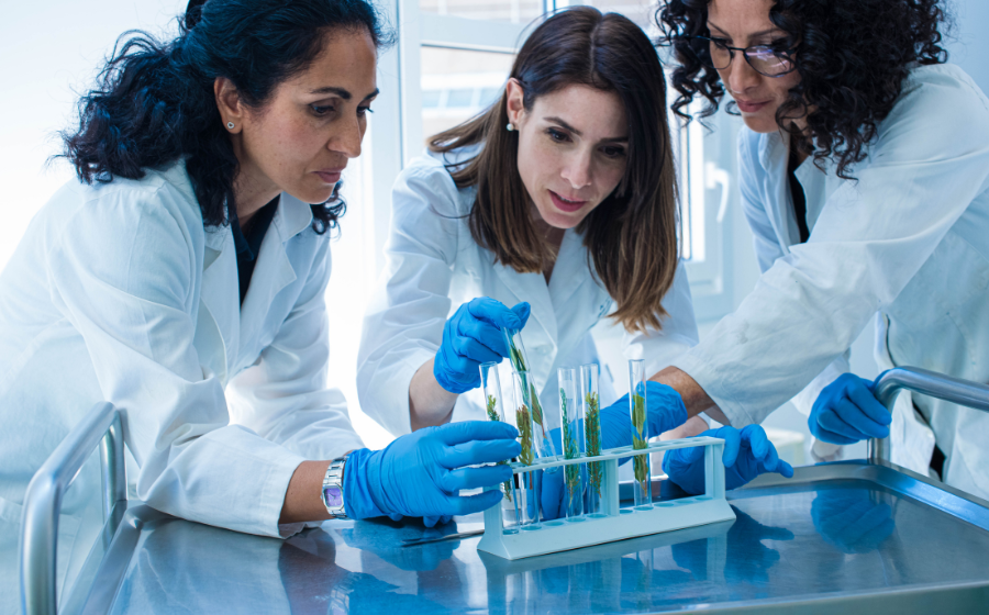 Hình ảnh đơn hàng 5